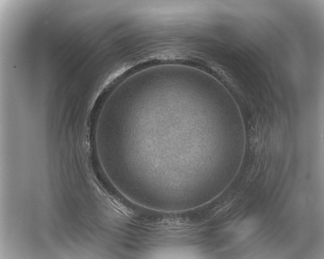 X0000067470727200604101158