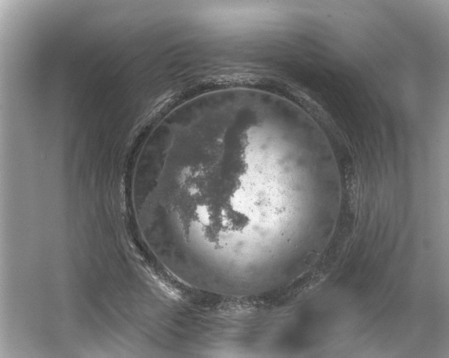 X0000067470729200604101158