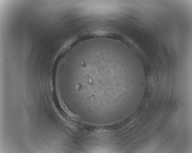 X0000067470734200604101158