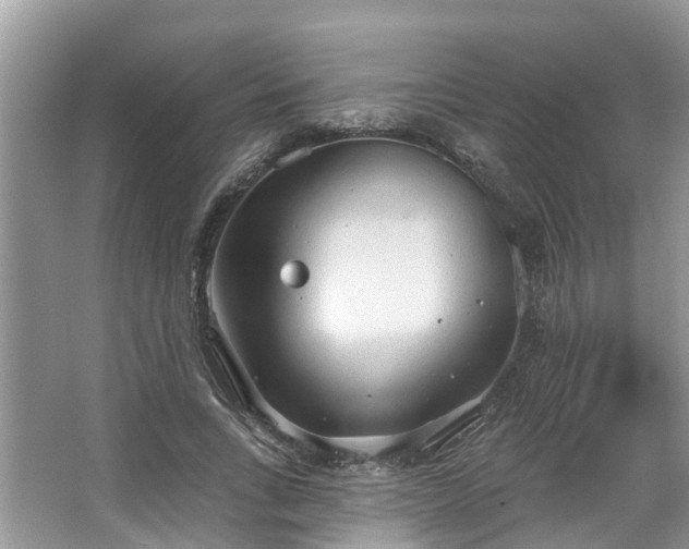 X0000067470735200604101158