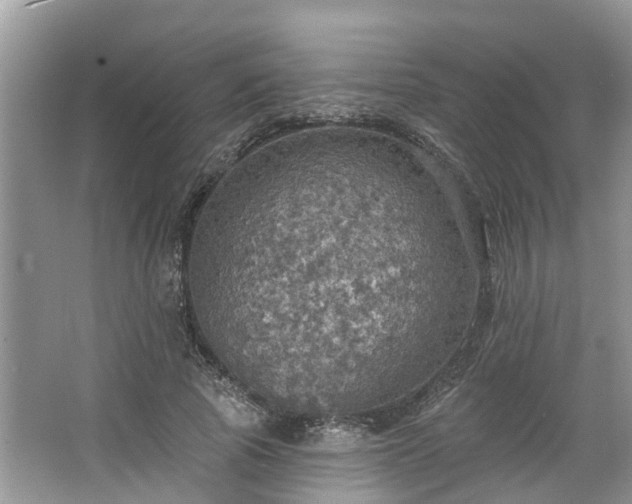 X0000067470737200604101158