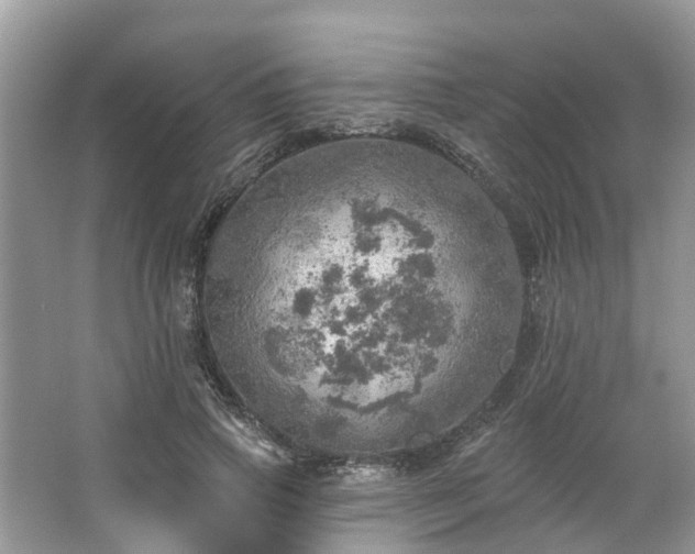 X0000067470741200604101158