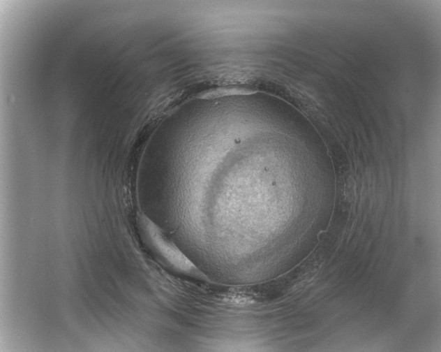 X0000067470743200604101158