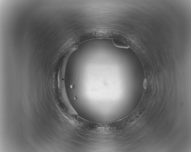 X0000067470744200604101158