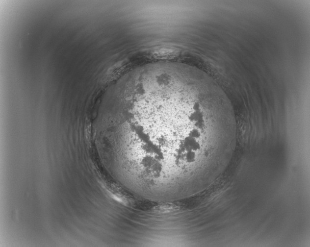 X0000067470745200604101158