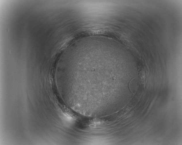 X0000067470746200604101158