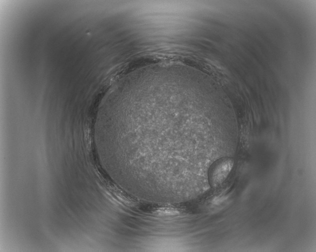 X0000067470749200604101158