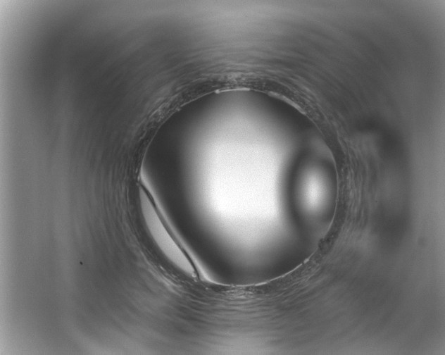 X0000067470750200604101158