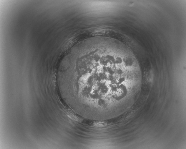 X0000067470753200604101158