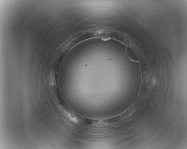 X0000067470754200604101158