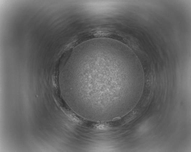 X0000067470755200604101158