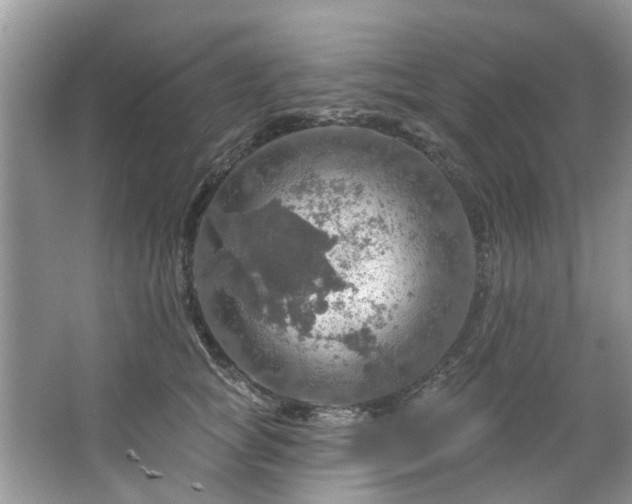 X0000067470757200604101158