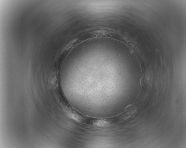 X0000067470759200604101158