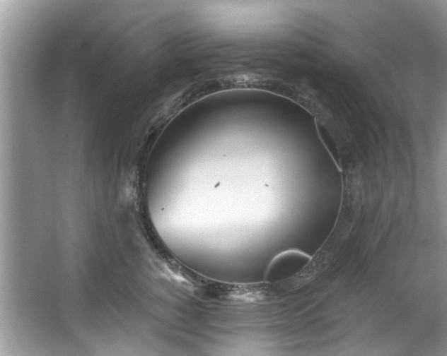 X0000067470760200604101159