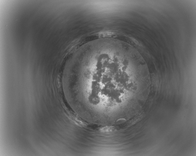 X0000067470761200604101159