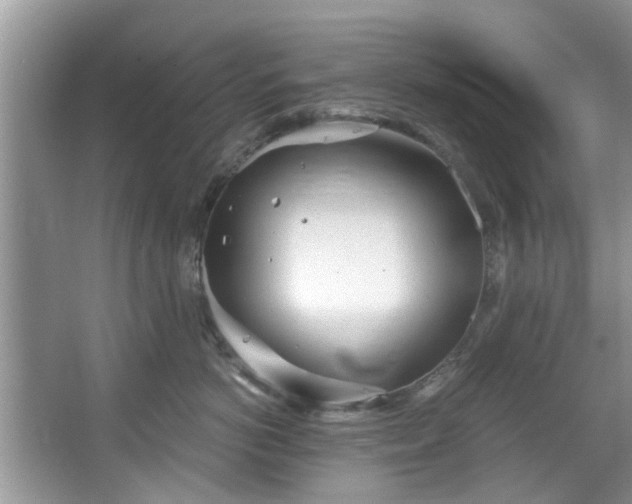 X0000067470766200604101159