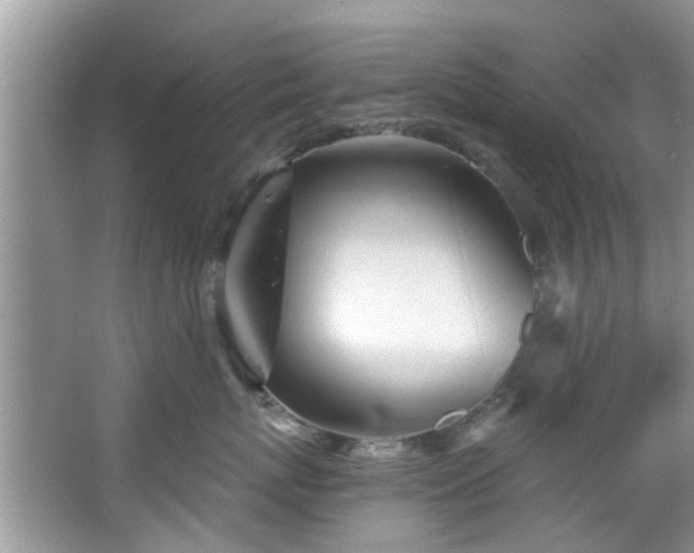 X0000067470767200604101159