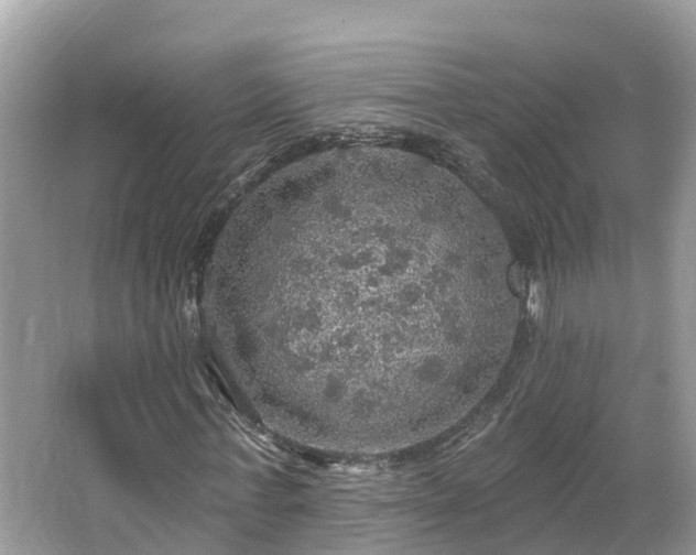 X0000067470771200604101158