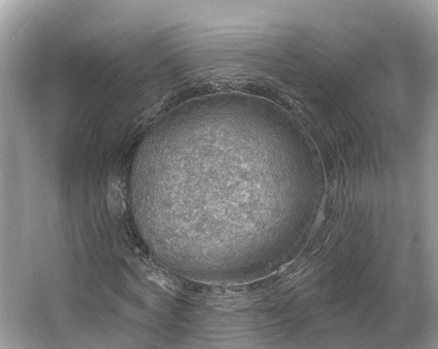 X0000067470772200604101158