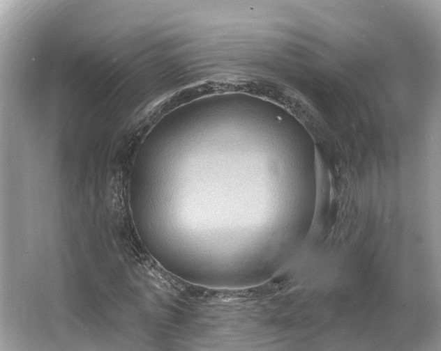 X0000067470773200604101158