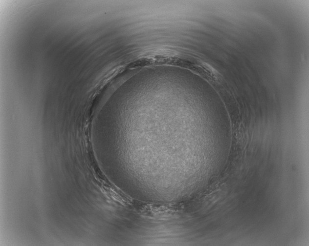 X0000067470774200604101158