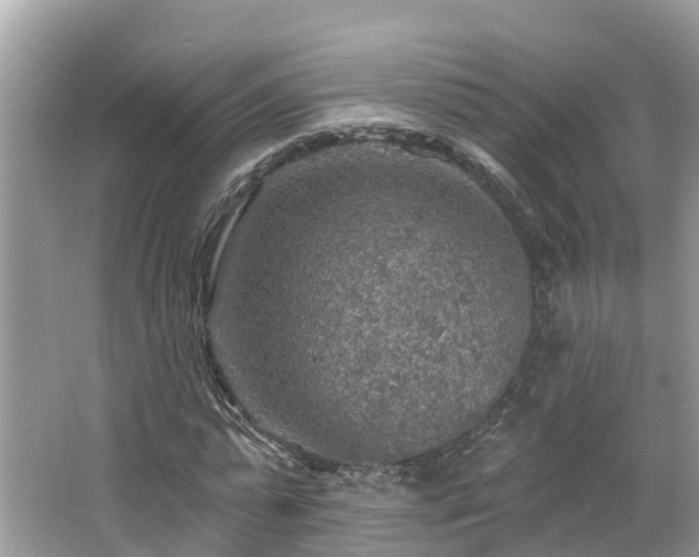 X0000067470775200604101158