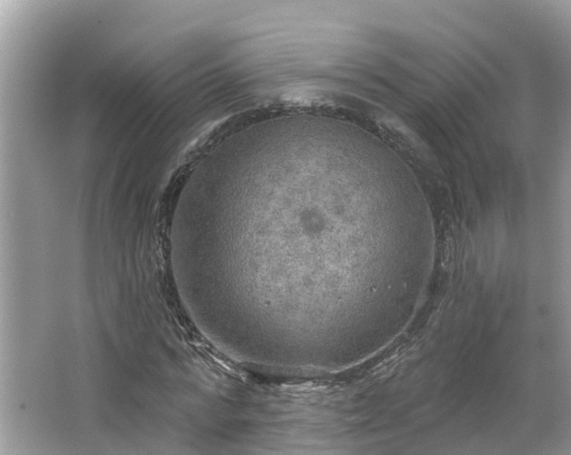 X0000067470776200604101158