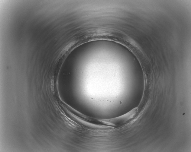 X0000067470777200604101158