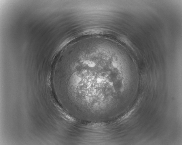 X0000067470778200604101158