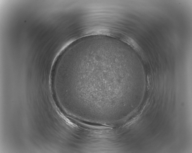 X0000067470780200604101158