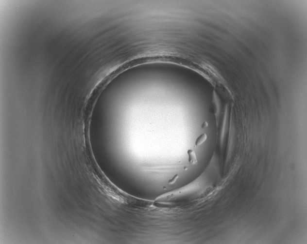 X0000067470781200604101158