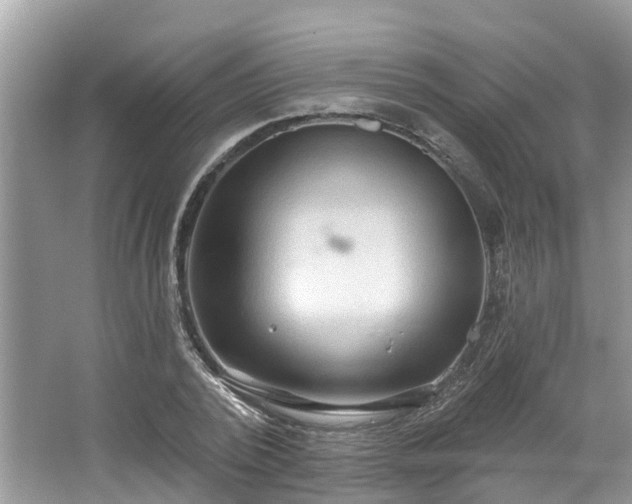 X0000067470784200604101158