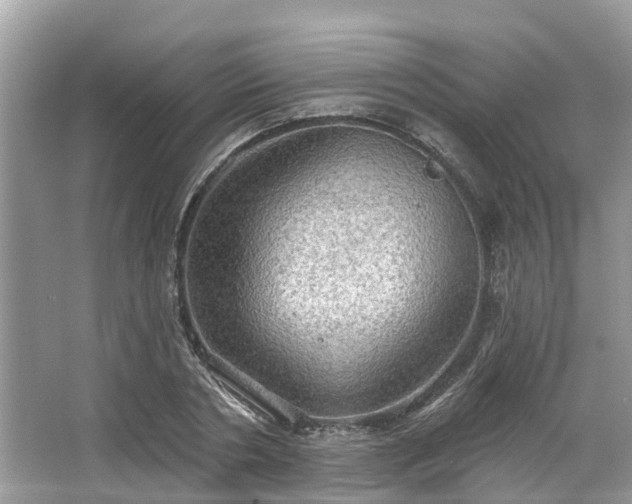 X0000067470786200604101158