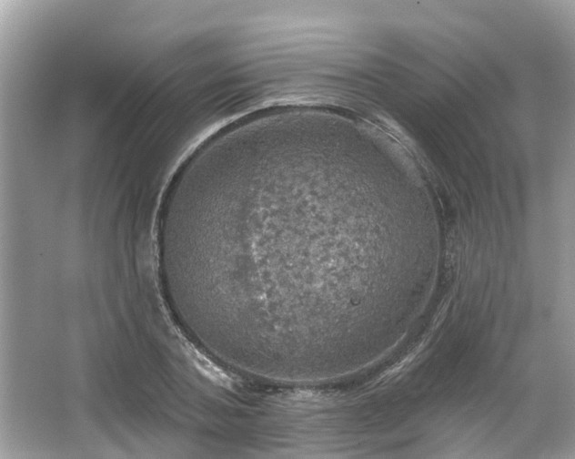 X0000067470787200604101158