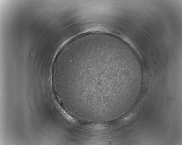 X0000067470791200604101157