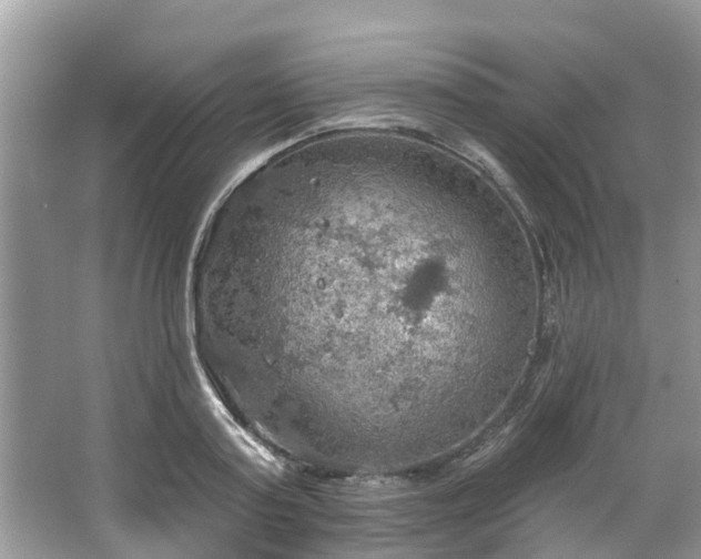 X0000067470795200604101157