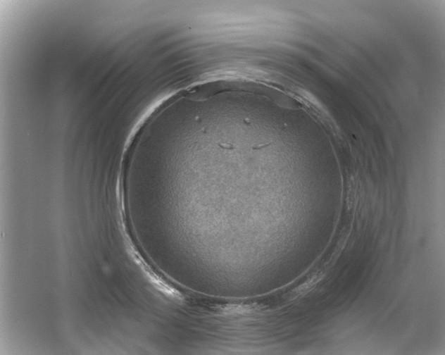 X0000067470796200604101157