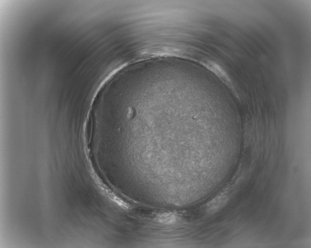 X0000067470798200604101157