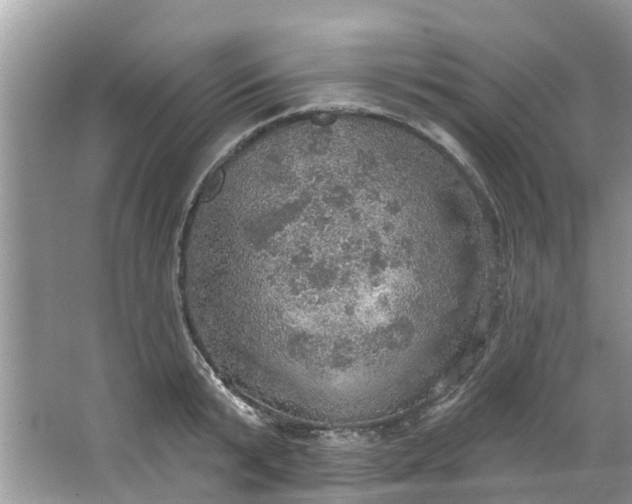 X0000067470799200604101157