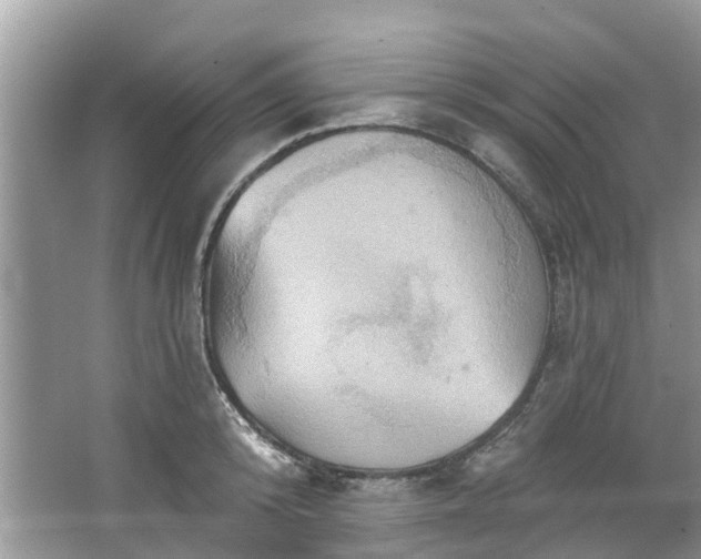 X0000067470800200604101157