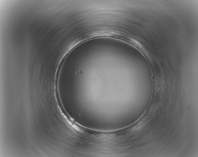 X0000067470802200604101157