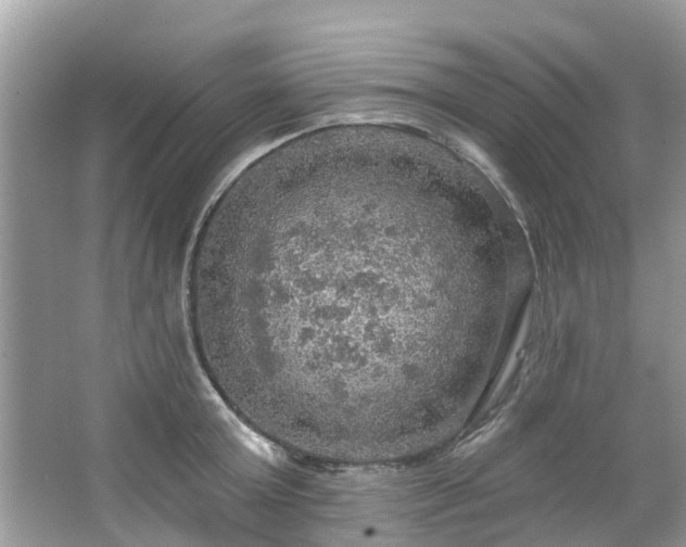 X0000067470803200604101157