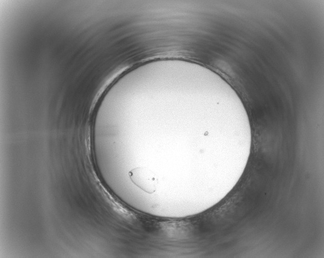 X0000067470804200604101157