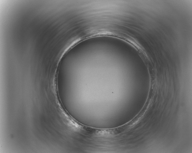 X0000067470806200604101157