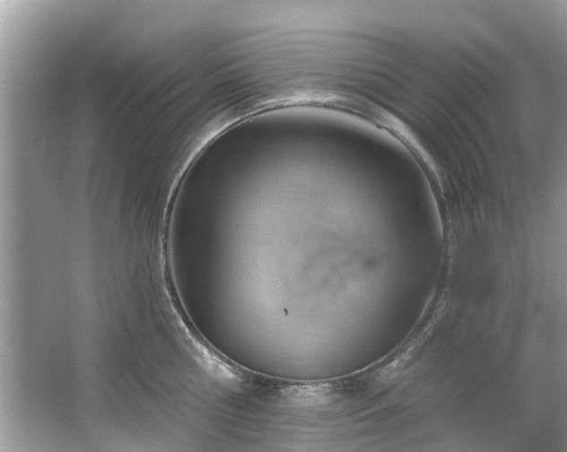 X0000067470810200604101157