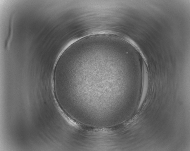 X0000067470811200604101157