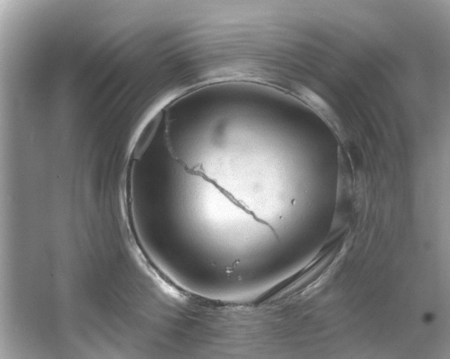 X0000067470812200604101157