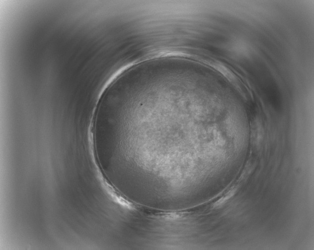 X0000067470814200604101157