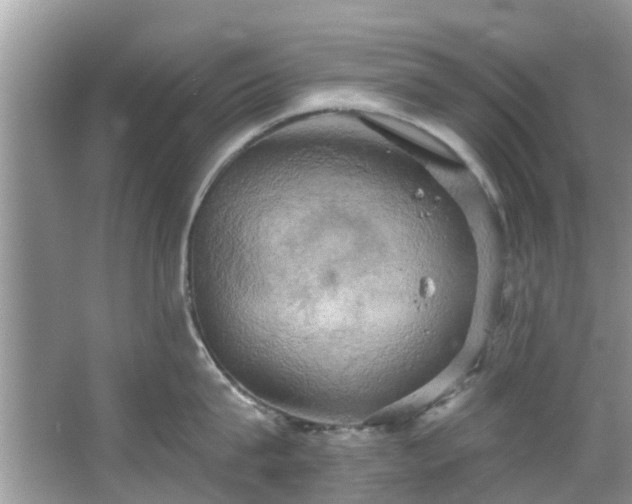 X0000067470815200604101157