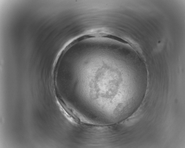 X0000067470816200604101157